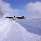 DSC01635.JPG