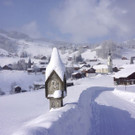 DSC01652.JPG