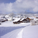DSC01657.JPG