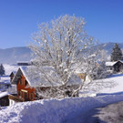 DSC01683.JPG