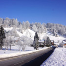 DSC01690.JPG