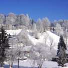 DSC01691.JPG
