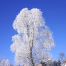 DSC01694.JPG