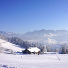 DSC01696.JPG