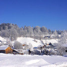 DSC01701.JPG