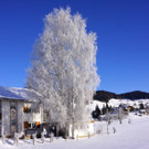 DSC01710.JPG