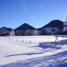 DSC01713.JPG