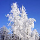 DSC01725.JPG