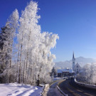 DSC01721.JPG
