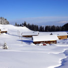 DSC02345.JPG
