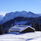 DSC02932.JPG
