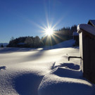 DSC04975.JPG