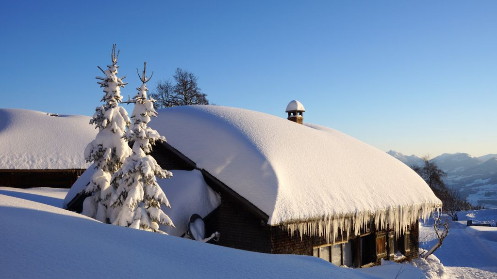 WINTER 12 _54_.JPG