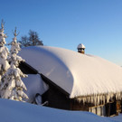 WINTER 12 _54_.JPG