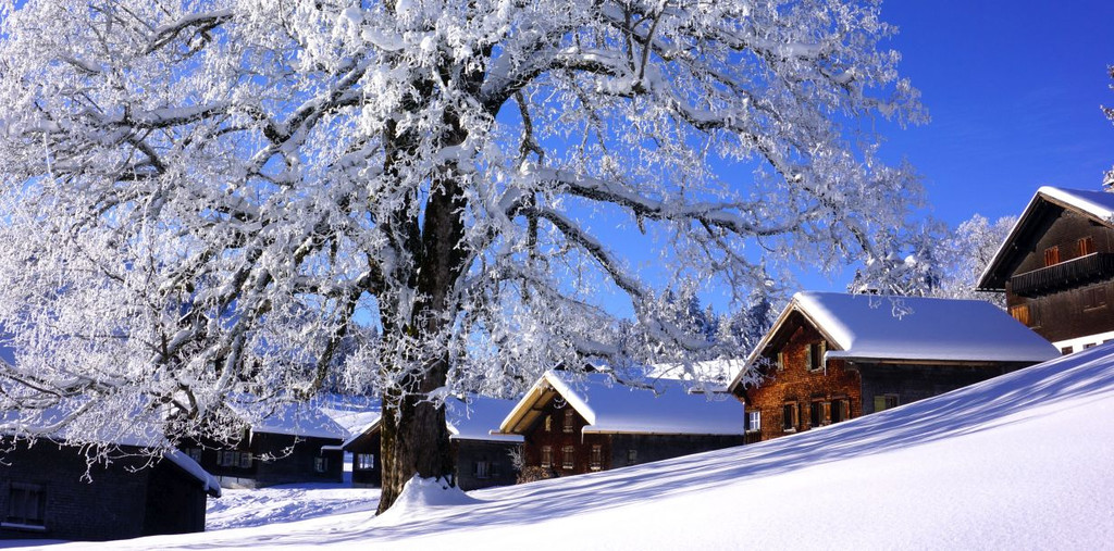 WINTER 12 _62_.JPG