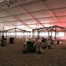 KOE_LWF-Fest Sonntag 7_jpg-1278246637