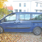 Serieneinbrecher in NÖ geschnappt