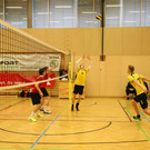 IMG_3565.JPG