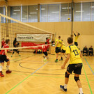 IMG_3568.JPG