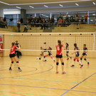 IMG_3601.JPG