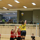 IMG_3616.JPG