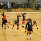 IMG_3619.JPG