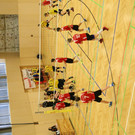 IMG_3649.JPG