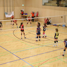 IMG_3650.JPG