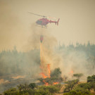 Feuer verschlingt Chiles Wälder 