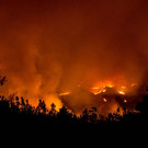 AFP_KP064.jpg