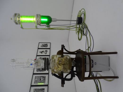 Thomas Feuerstein Installation.JPG