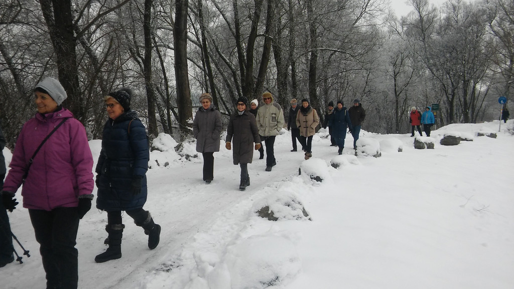 Winter - wanderung  24_01_2017 _ 10 _.jpg