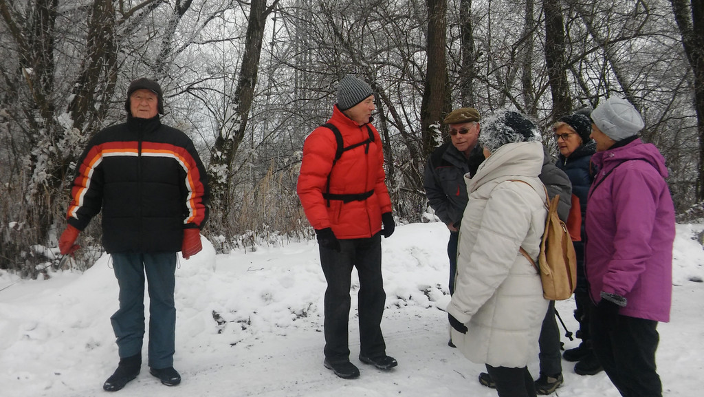 Winter - wanderung  24_01_2017 _ 11 _.jpg