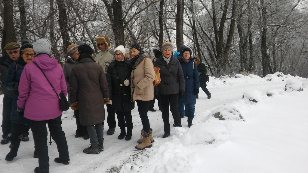 Winter - wanderung  24_01_2017 _ 5 _.jpg