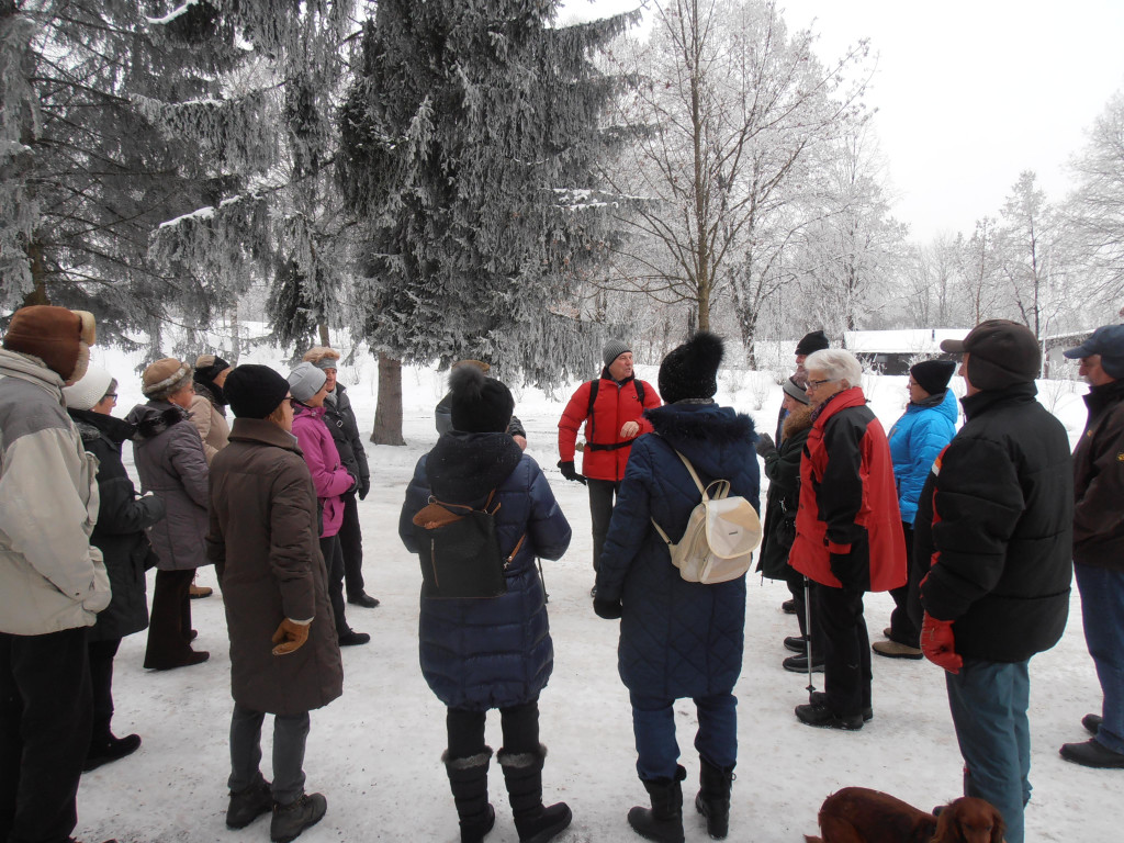 Winter - wanderung  24_01_2017 _ 8 _.JPG