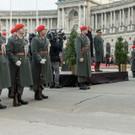 Bundespr__sident Alexander van der Bellen - Heldenplatz _44 von 119_.jpg