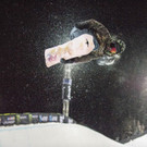 Winter_X_Games_84393.jpg