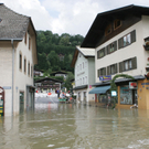 Mittersill120705zp.jpg