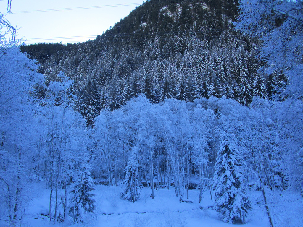 IMG_7829.JPG