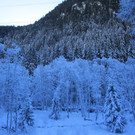 IMG_7829.JPG