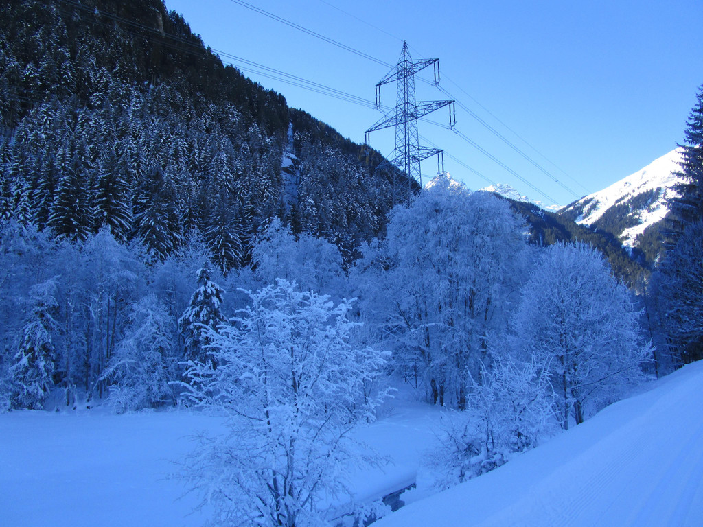 IMG_7837.JPG
