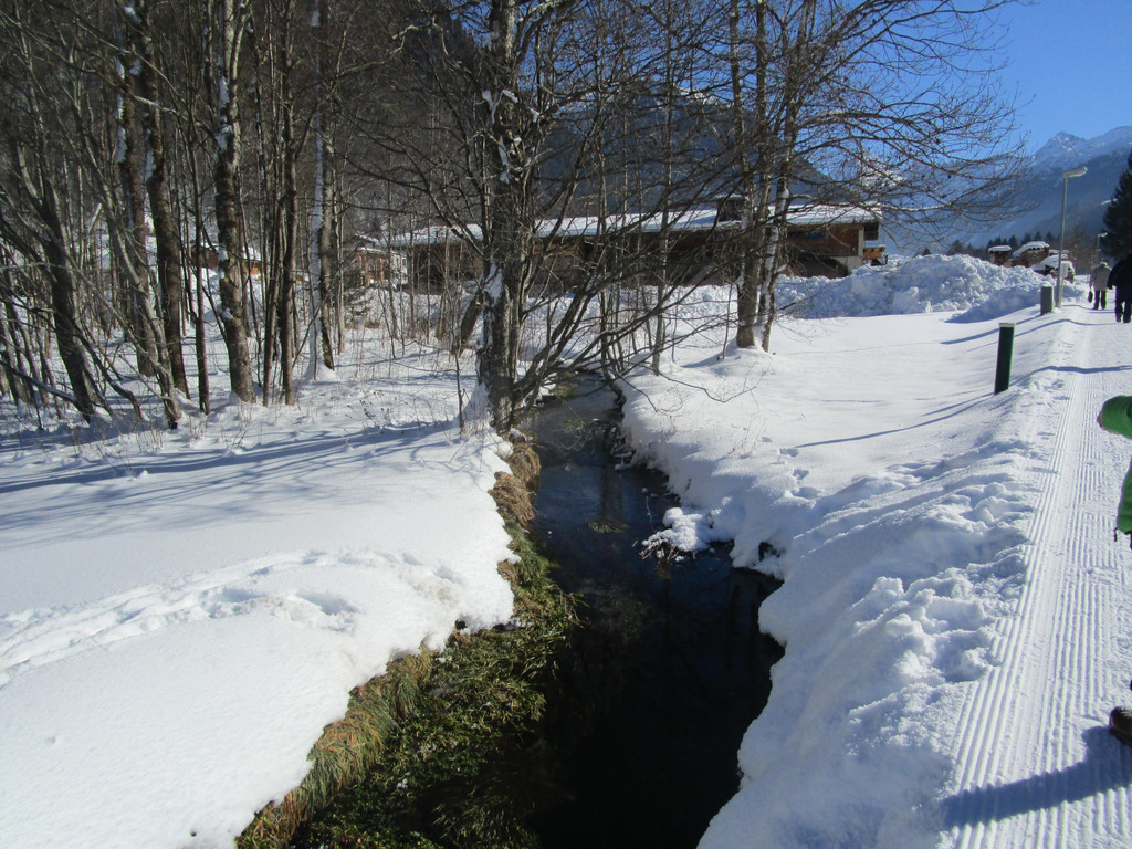 IMG_7861.JPG