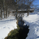 IMG_7861.JPG