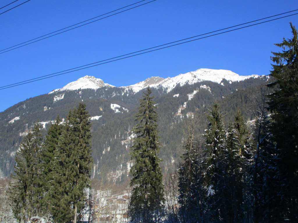 IMG_7866.JPG