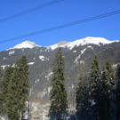 IMG_7866.JPG