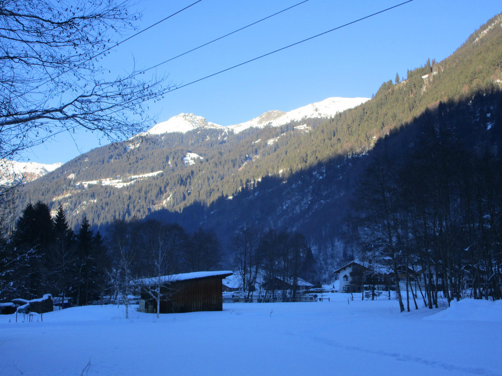 IMG_7895.JPG
