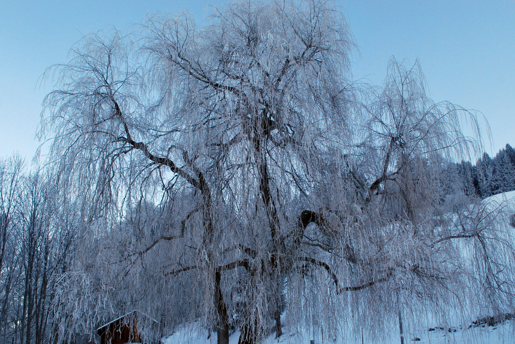 DSC_0007.JPG