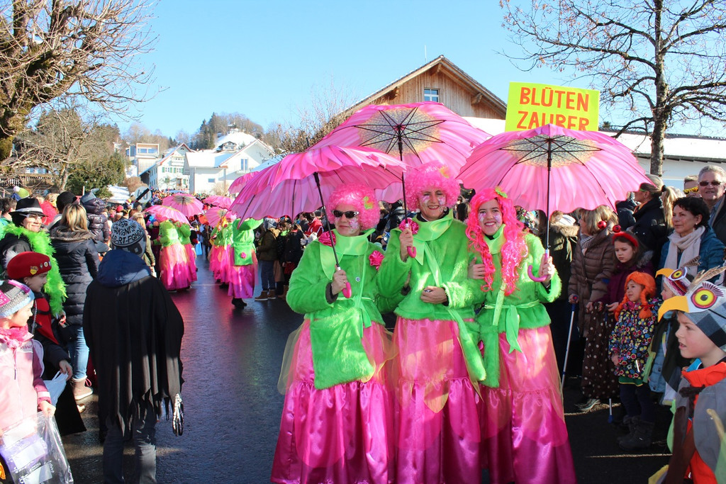 Bildstein Umzug 3.jpg