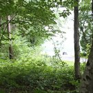 normal_04072010vuglangeggffaktivnews_09.jpg