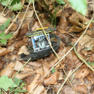 normal_04072010vuglangeggffaktivnews_15.jpg